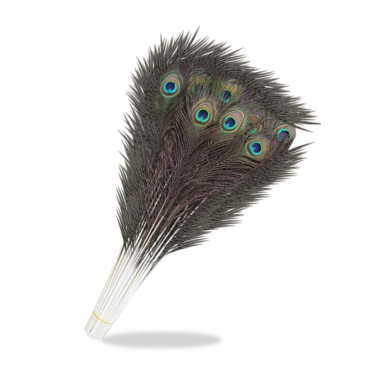 Peacock Feathers - Large