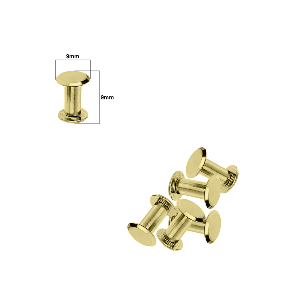 Chicago Screw Flat Head Rivets (Pack of 10)