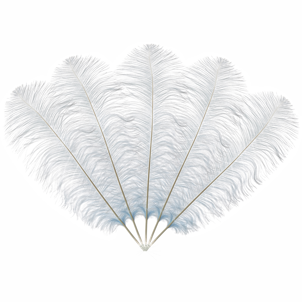 50cm-60cm Ostrich Feathers (Pack of 5)