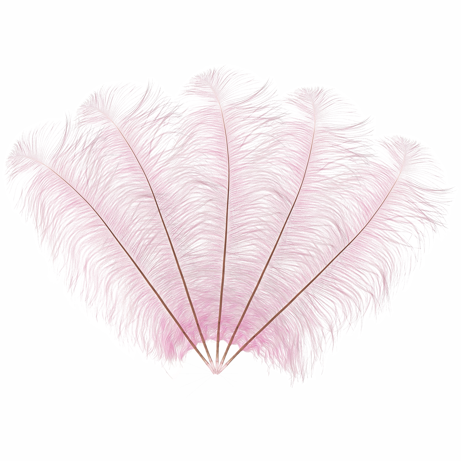 50cm-60cm Ostrich Feathers (Pack of 5)