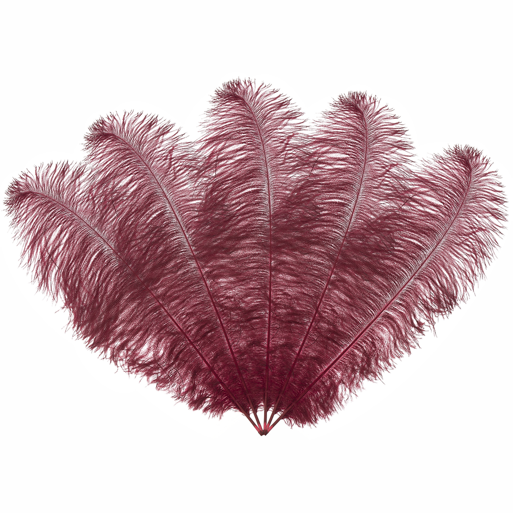 50cm-60cm Ostrich Feathers (Pack of 5)