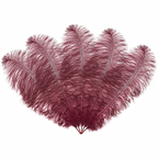 50cm-60cm Ostrich Feathers (Pack of 5)