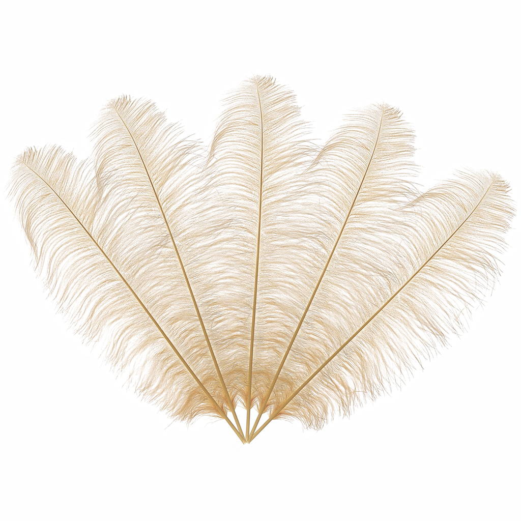 50cm-60cm Ostrich Feathers (Pack of 5)