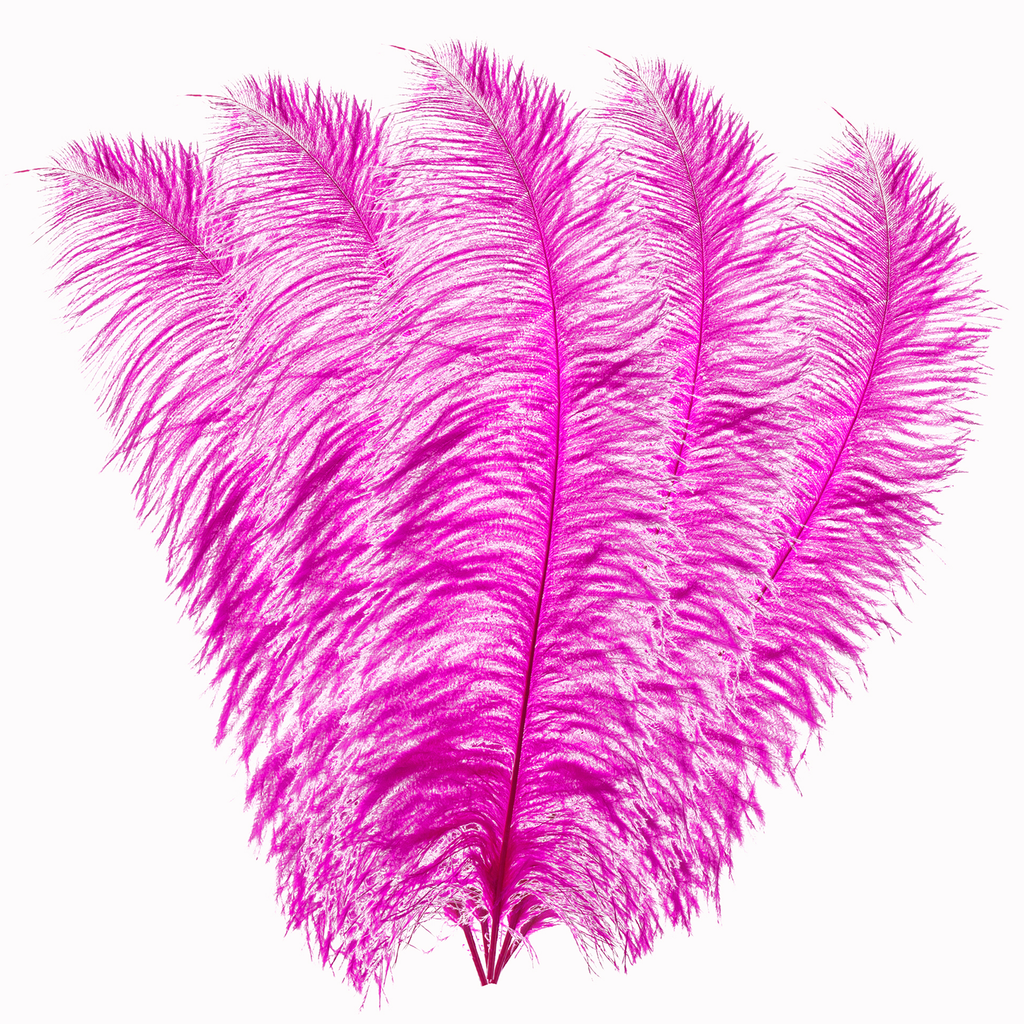 50cm-60cm Ostrich Feathers (Pack of 5)