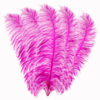 50cm-60cm Ostrich Feathers (Pack of 5)