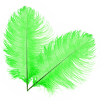 50cm-60cm Ostrich Feathers (Pack of 5)