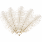 50cm-60cm Ostrich Feathers (Pack of 5)