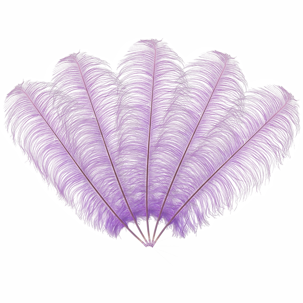 50cm-60cm Ostrich Feathers (Pack of 5)