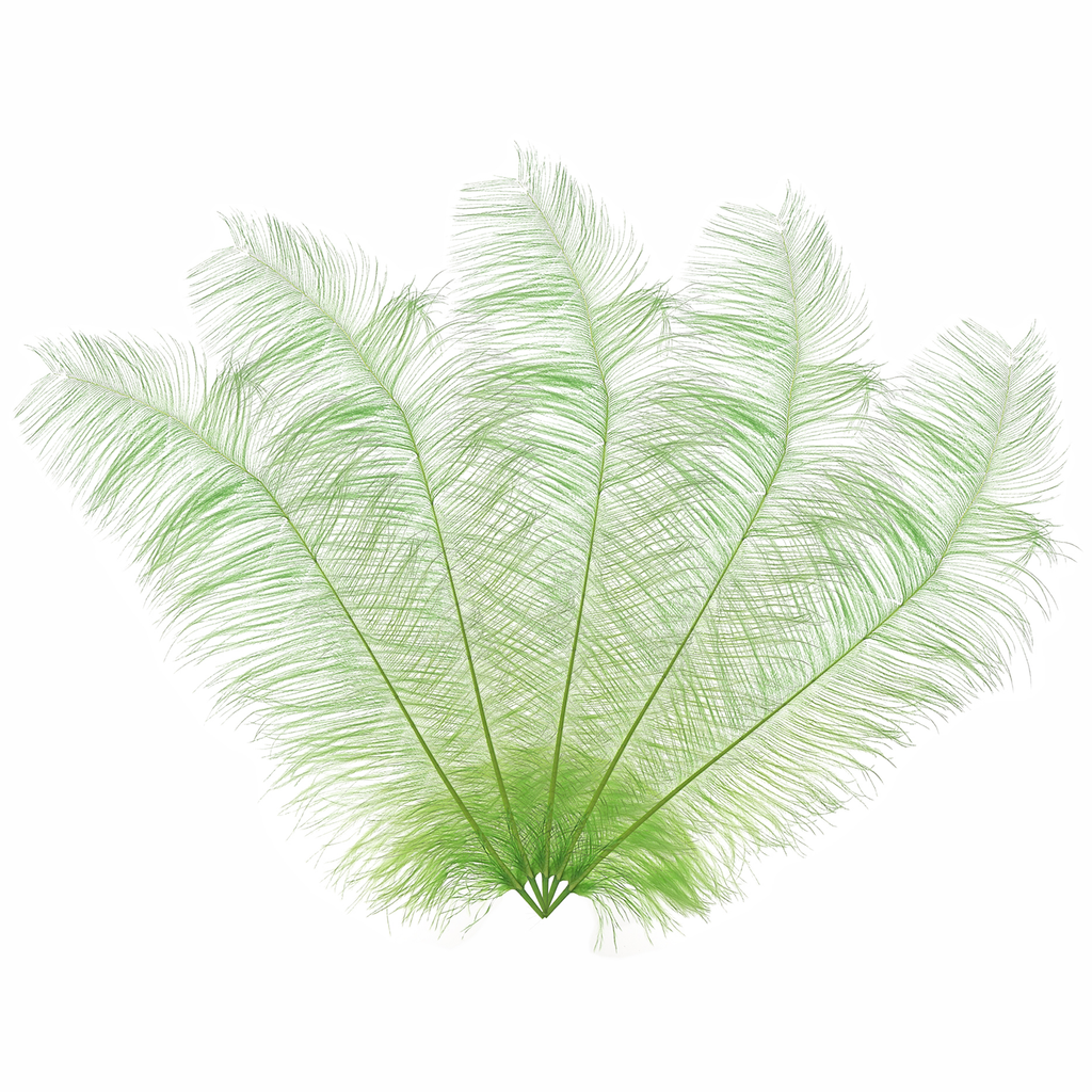 50cm-60cm Ostrich Feathers (Pack of 5)