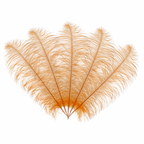 50cm-60cm Ostrich Feathers (Pack of 5)