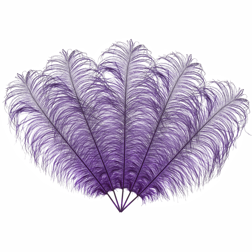 50cm-60cm Ostrich Feathers (Pack of 5)