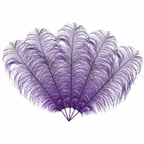 50cm-60cm Ostrich Feathers (Pack of 5)