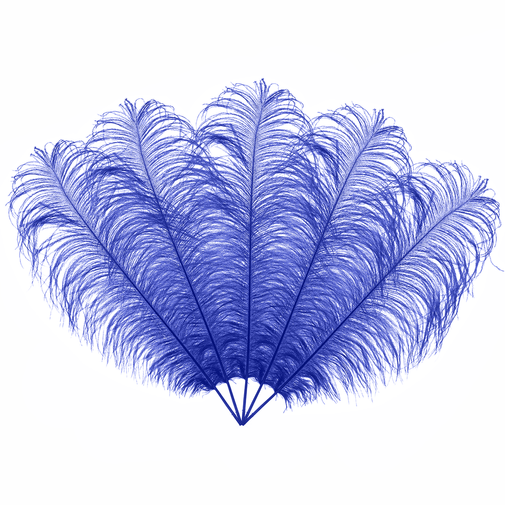 50cm-60cm Ostrich Feathers (Pack of 5)