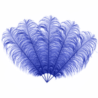 50cm-60cm Ostrich Feathers (Pack of 5)