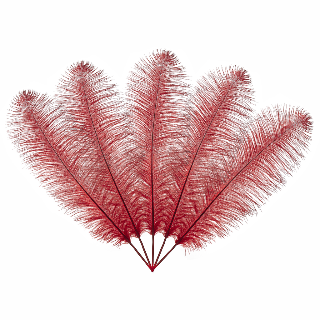 50cm-60cm Ostrich Feathers (Pack of 5)