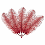 50cm-60cm Ostrich Feathers (Pack of 5)