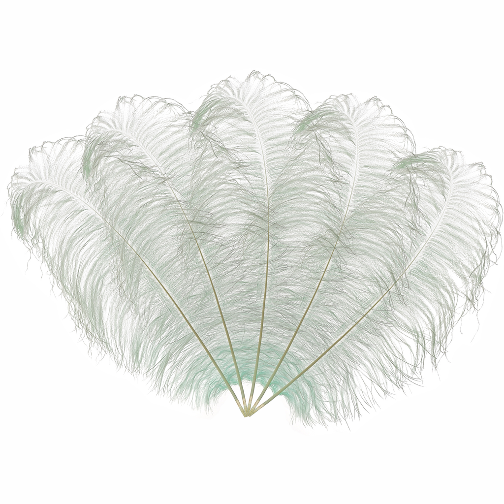 50cm-60cm Ostrich Feathers (Pack of 5)