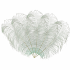 50cm-60cm Ostrich Feathers (Pack of 5)