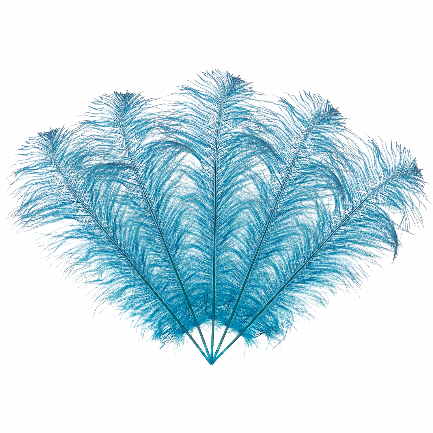 50cm-60cm Ostrich Feathers (Pack of 5)