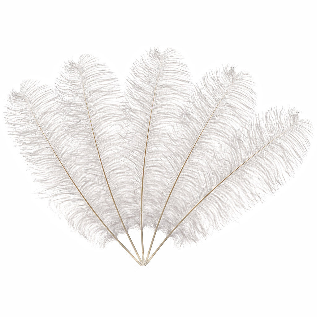 50cm-60cm Ostrich Feathers (Pack of 5)