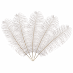 50cm-60cm Ostrich Feathers (Pack of 5)
