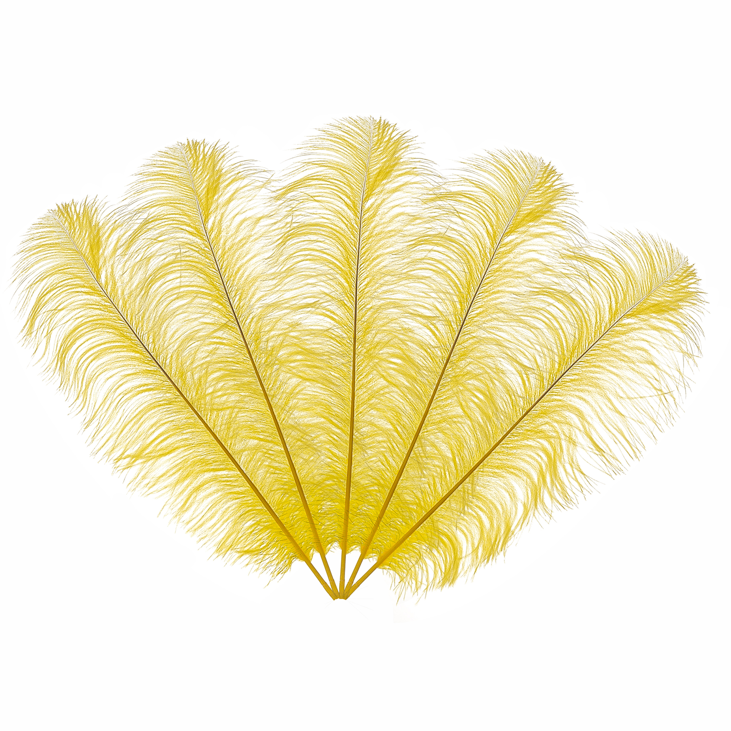 50cm-60cm Ostrich Feathers (Pack of 5)
