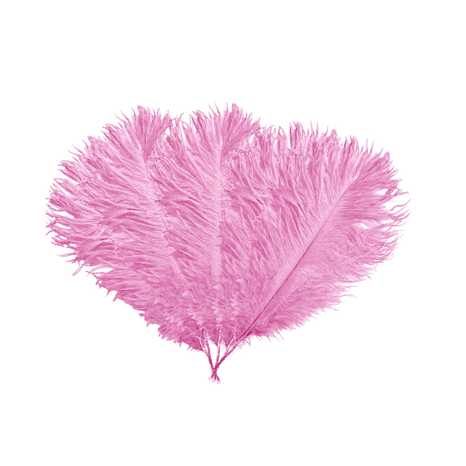 35cm-40cm Ostrich Feathers (Pack of 5)