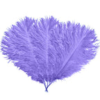 35cm-40cm Ostrich Feathers (Pack of 5)