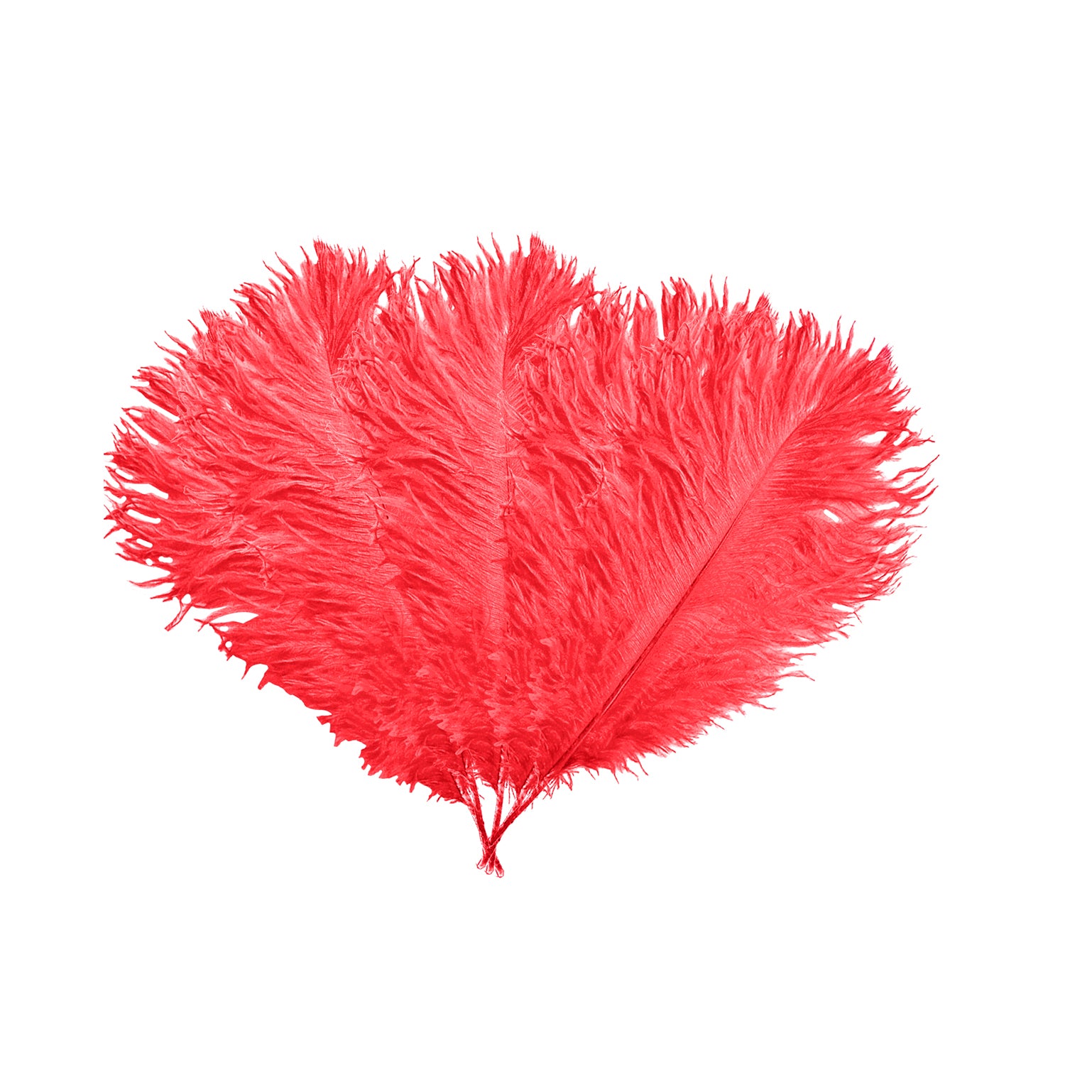 35cm-40cm Ostrich Feathers (Pack of 5)