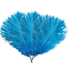 35cm-40cm Ostrich Feathers (Pack of 5)