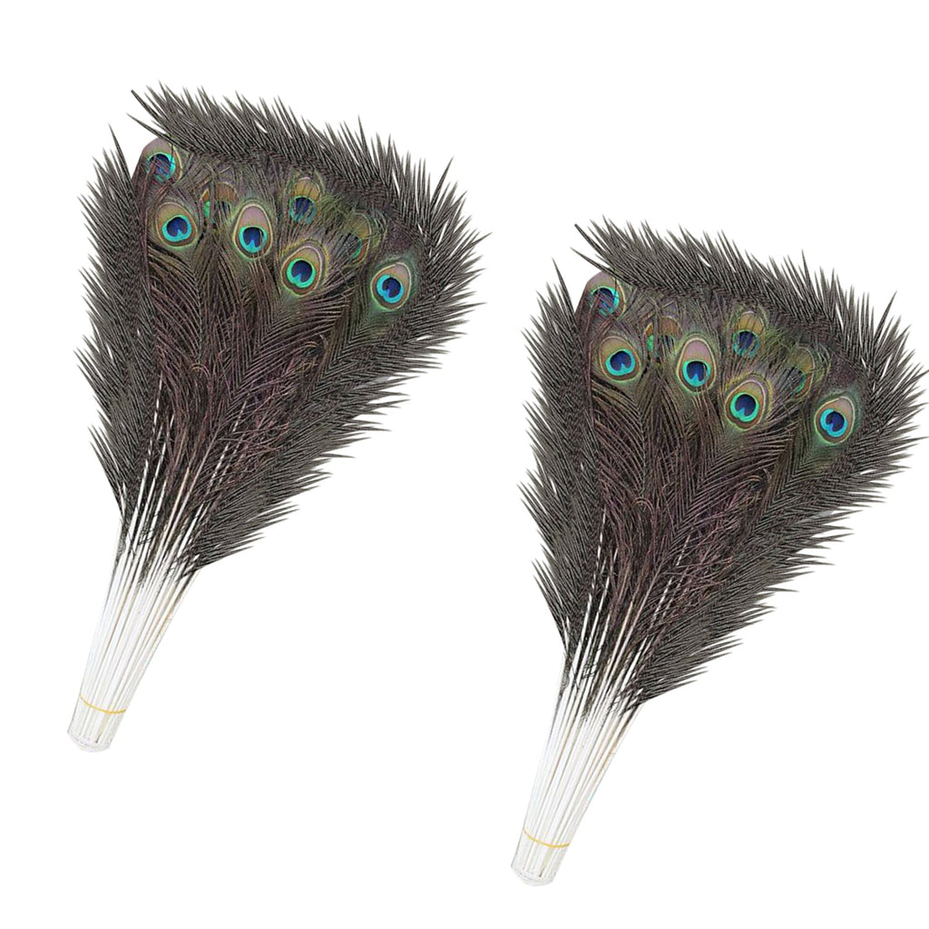Peacock Feathers - Large