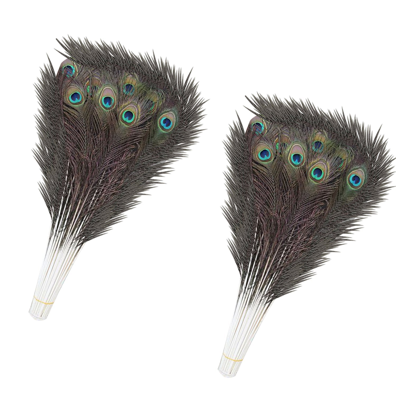 Peacock Feathers - Large