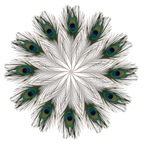Peacock Feathers - Small