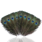 Peacock Feathers - Small