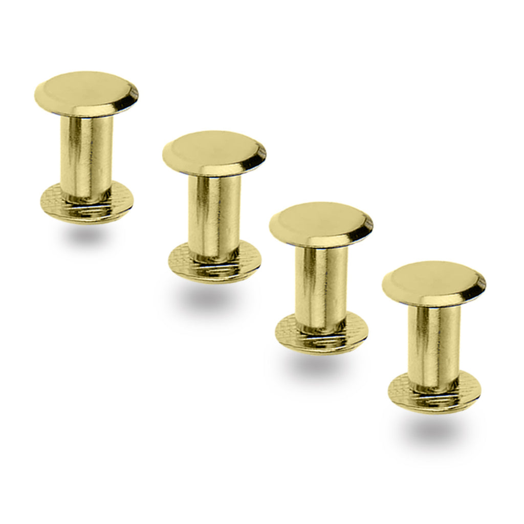 Chicago Screw Flat Head Rivets (Pack of 10)