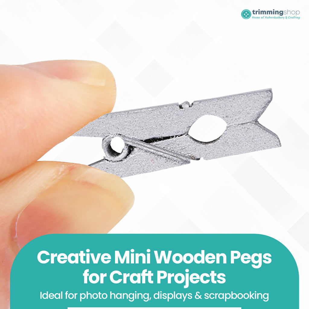 Mini Craft Wooden Pegs - (Pack of 50)