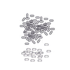 Brass Oval Eyelets with Washers – Pack of 50