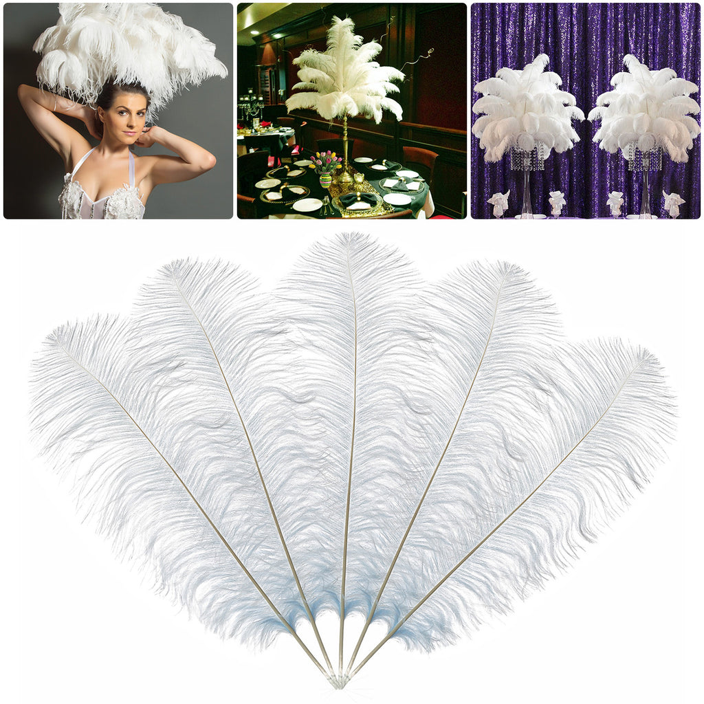 50cm-60cm Ostrich Feathers (Pack of 5)
