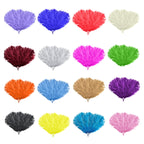 35cm-40cm Ostrich Feathers (Pack of 5)