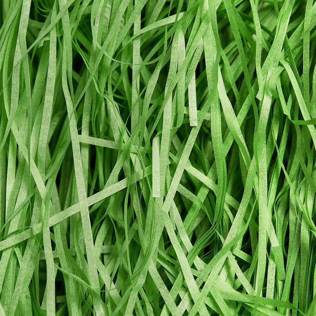 Shredded Tissue Paper - Green