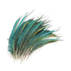 Natural Peacock Feathers - (Pack of 10)