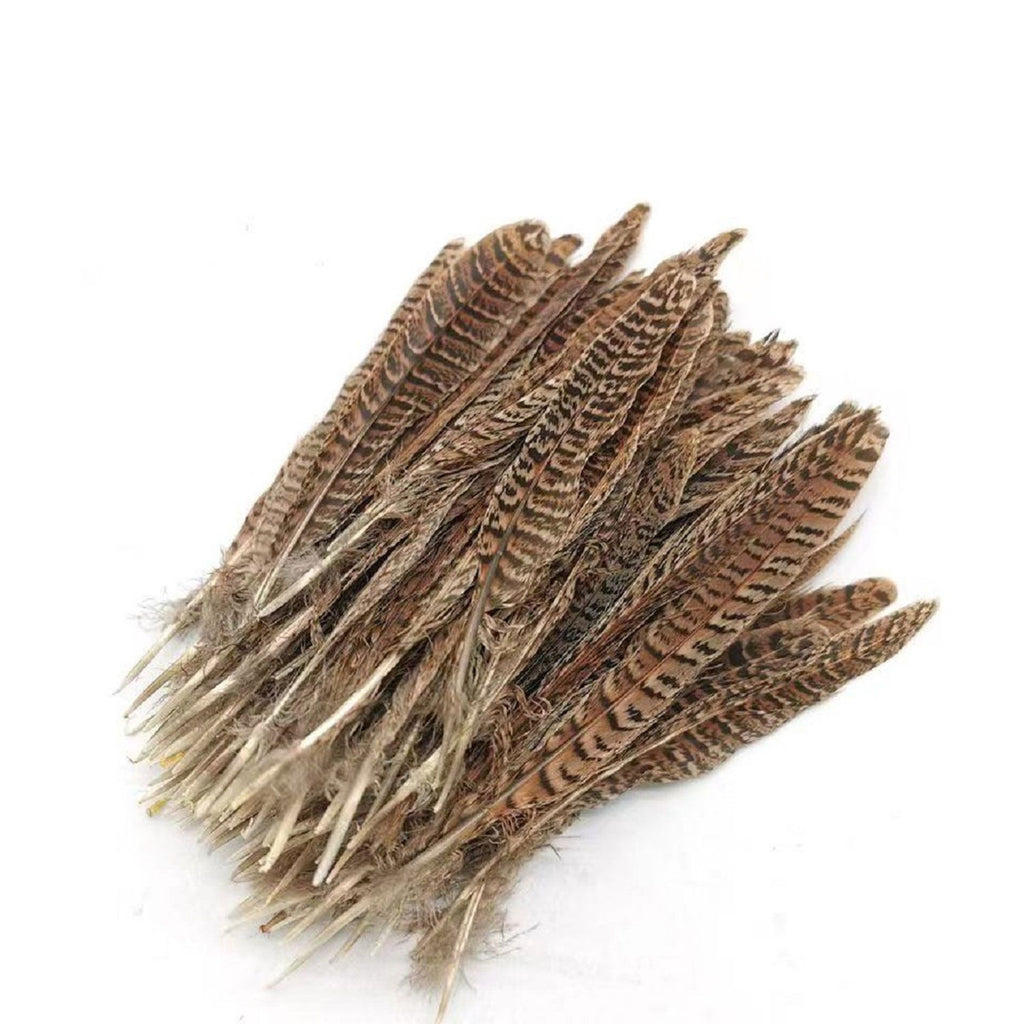 Natural Pheasant Feathers - (Pack of 10)